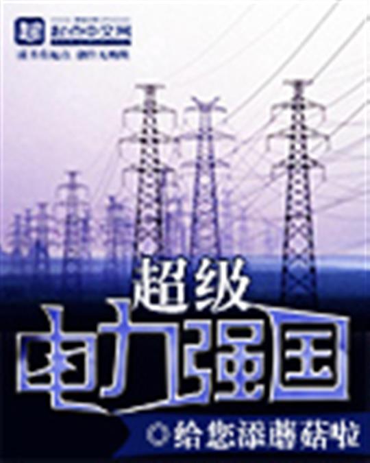 超级电力强国